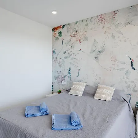 La Nova-15 By Interhome Apartment